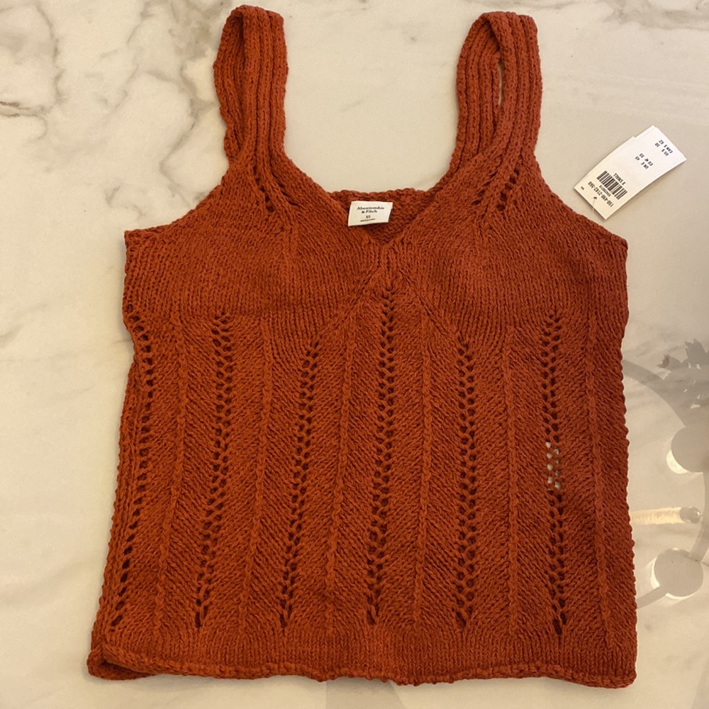 NWT Skimming V-Neck Abercrombie Crochet Tank in Burnt orange